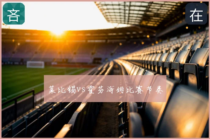 莱比锡vs霍芬海姆比赛节奏